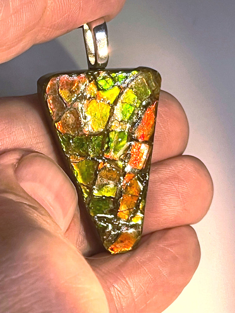 Ammolite