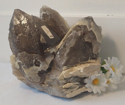 Natural Citrine