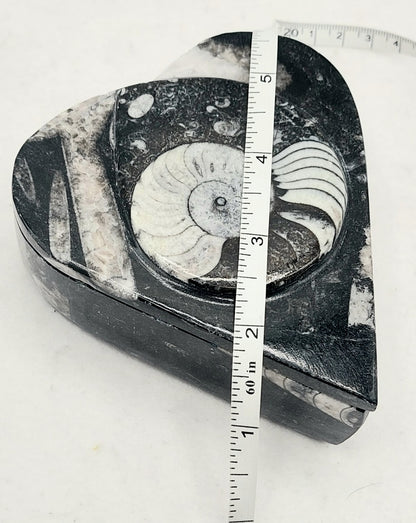 Fossil Osotherus Heart Box