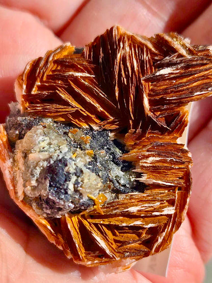 Barite, RARE Red Vanadinite, Cerussite, and Galena Specimen