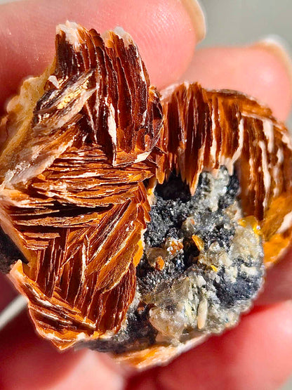 Barite, RARE Red Vanadinite, Cerussite, and Galena Specimen