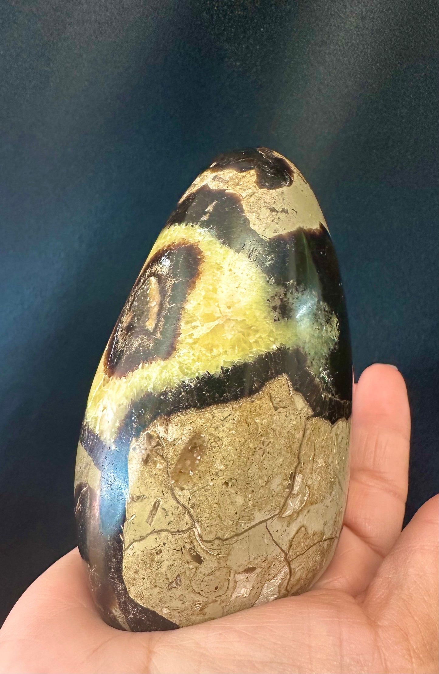 Septarian Freeform - UV Reactive