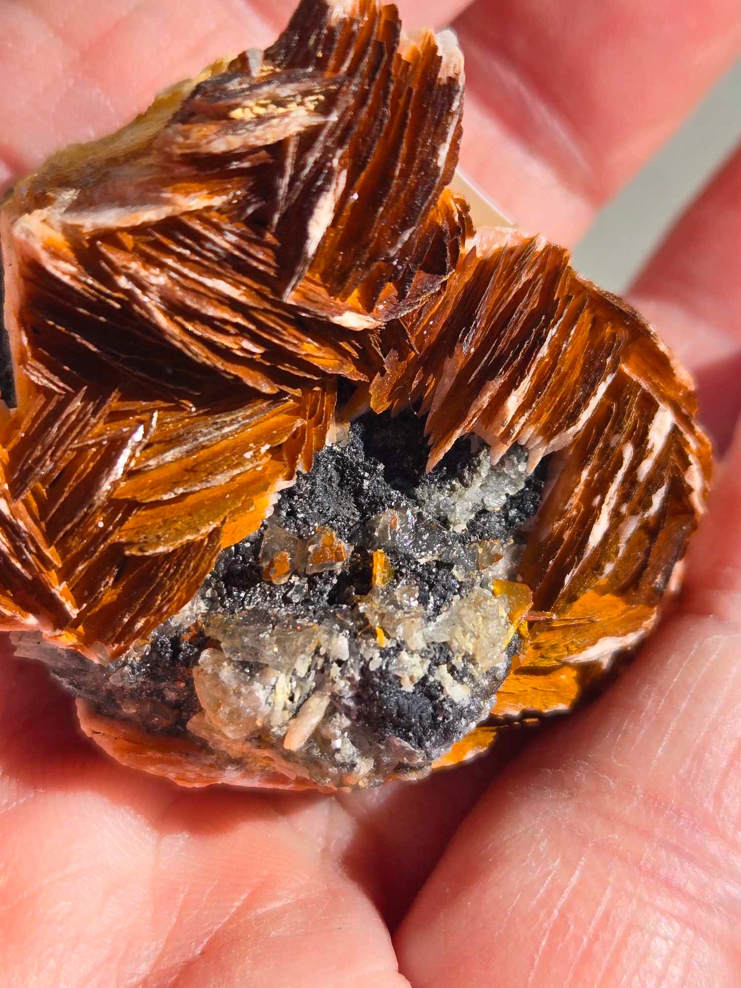 Barite, RARE Red Vanadinite, Cerussite, and Galena Specimen