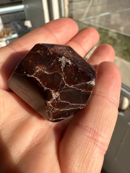 Almandine Garnet Specimen