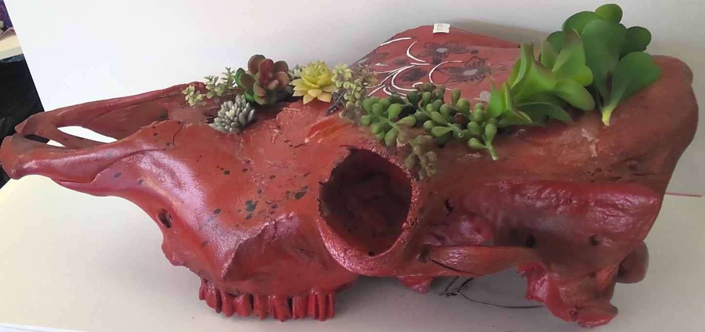 Painted Cow Skull-Red with Succulent Plants