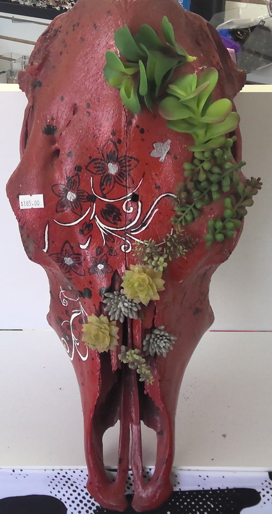 Painted Cow Skull-Red with Succulent Plants