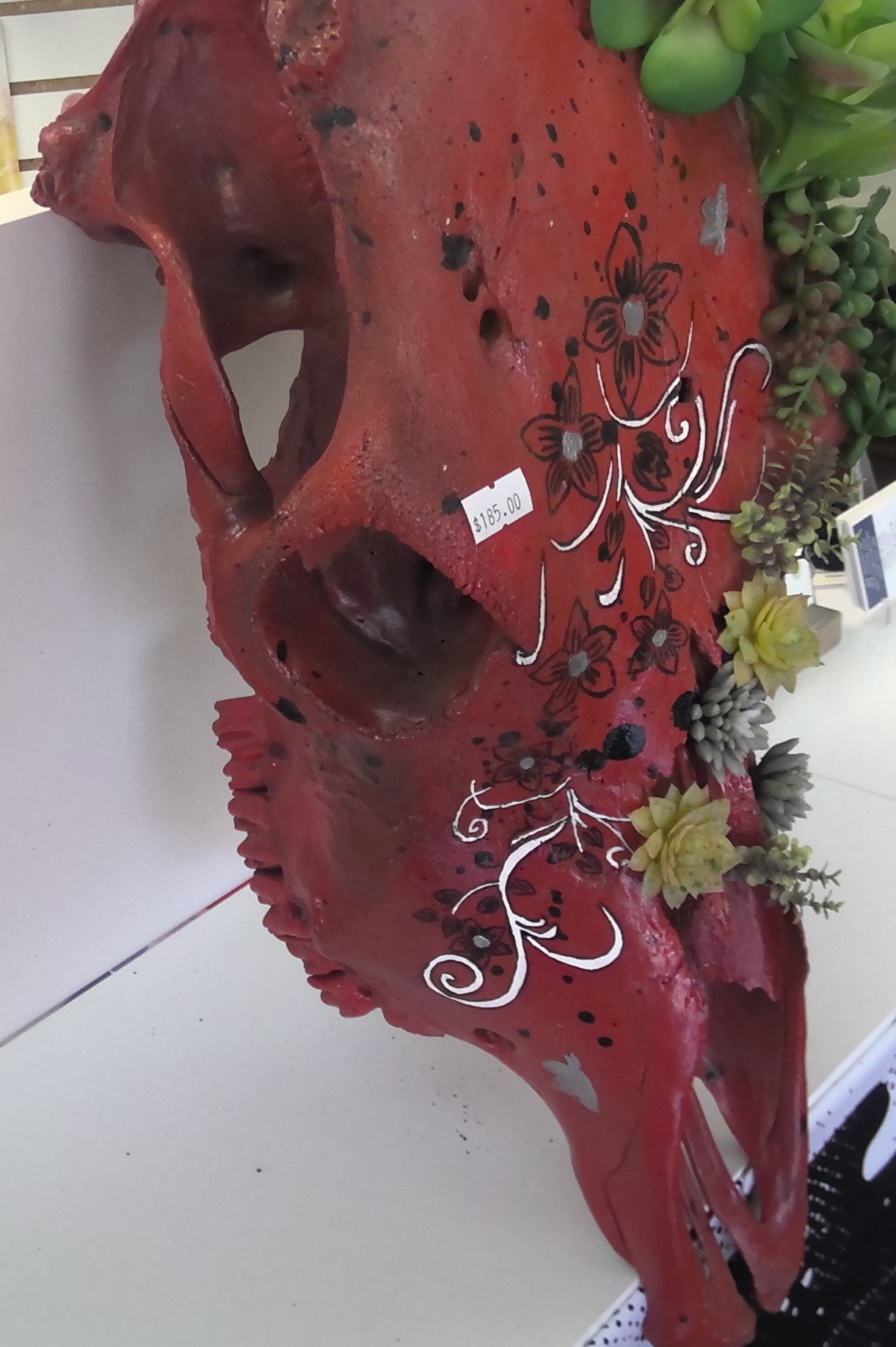 Painted Cow Skull-Red with Succulent Plants