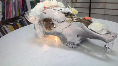 Painted Cow Skulls - Light Pink And White Roses - Lights Up